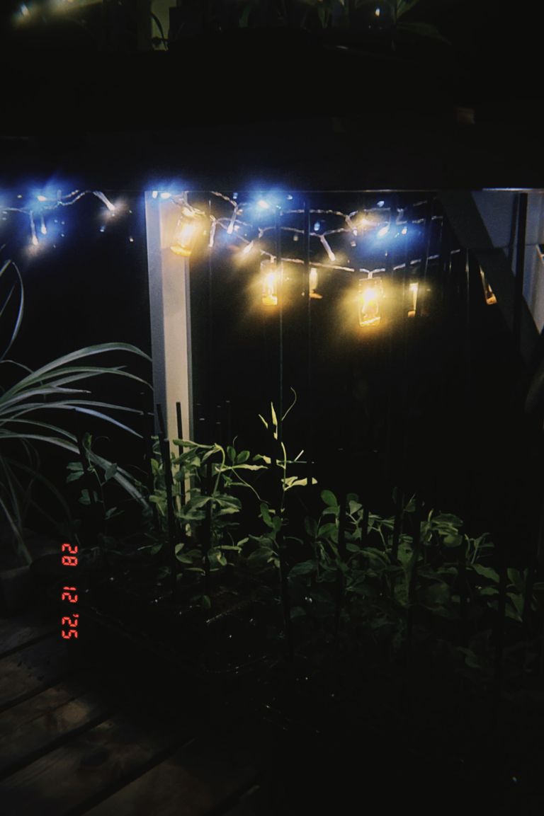 Artwork from project Studio and Life